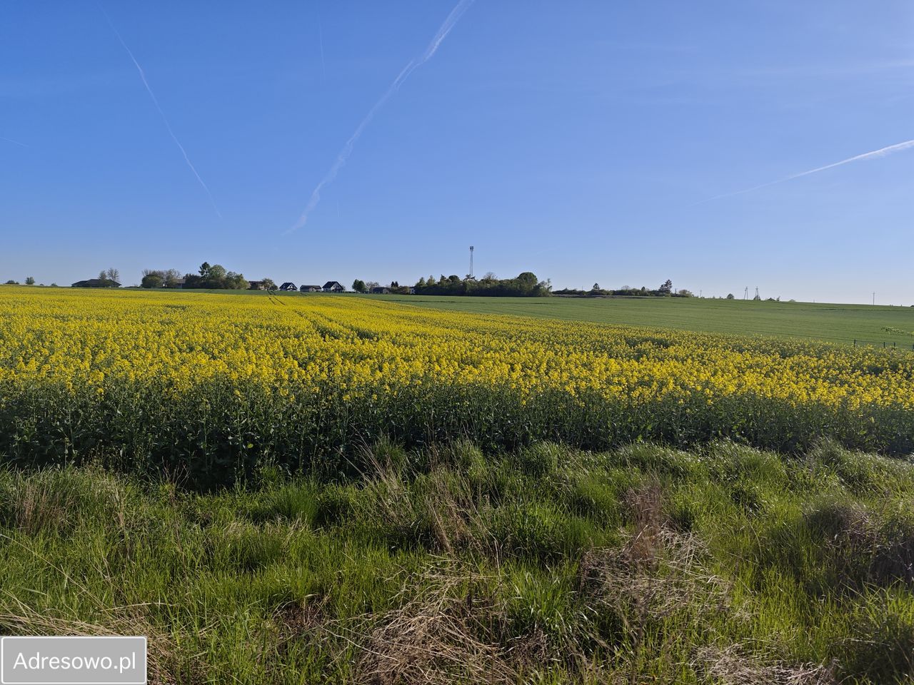 Działka siedliskowa Żabia Wola. Zdjęcie 3