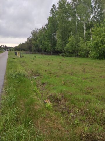 Działka budowlana Gręzówka-Kolonia. Zdjęcie 1