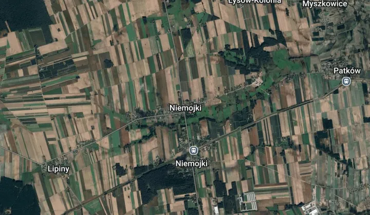 Działka leśna Niemojki