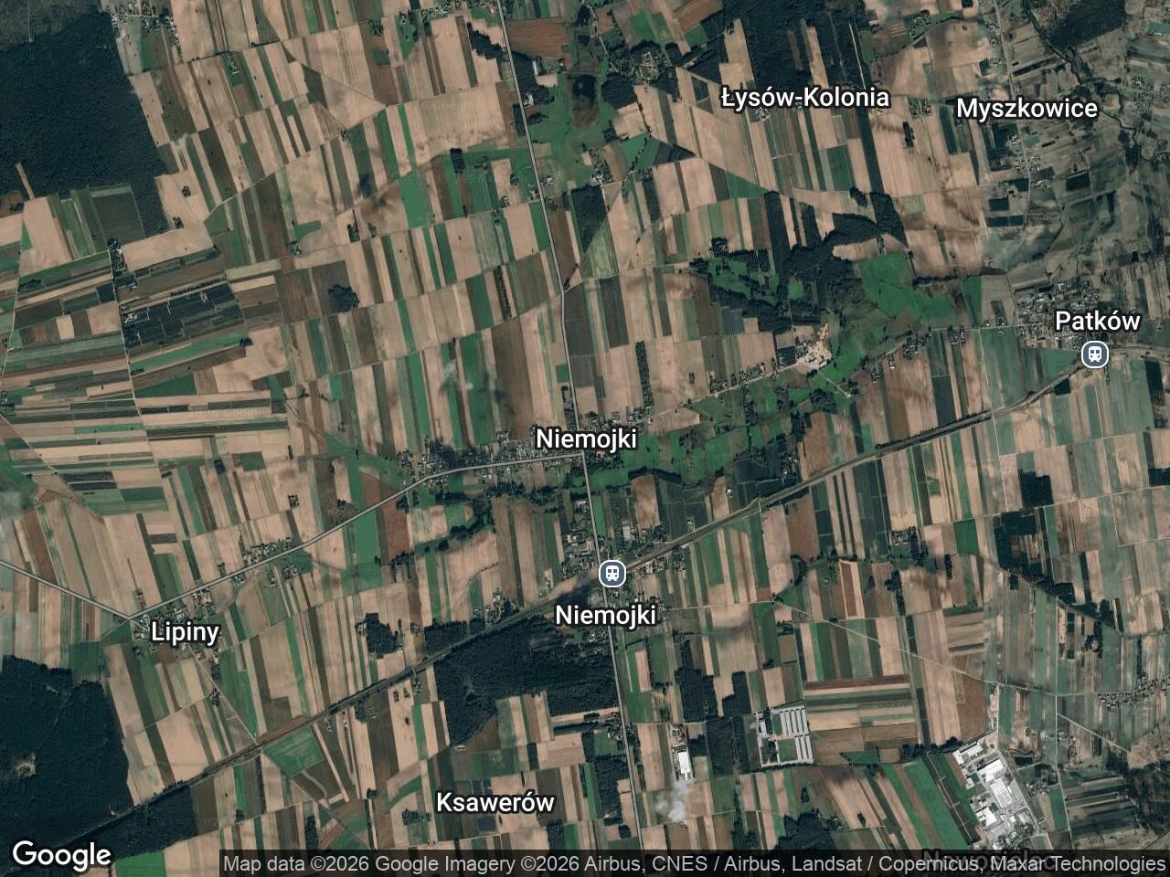 Działka leśna Niemojki. Zdjęcie 1