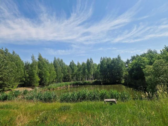 Działka inwestycyjna Biała Podlaska. Zdjęcie 1