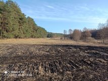 Działka rekreacyjna Małe Pułkowo. Zdjęcie 2