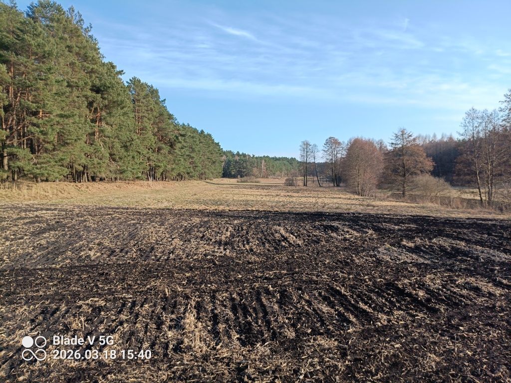 Działka rekreacyjna Małe Pułkowo. Zdjęcie 3