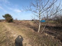 Działka budowlana Płock Maszewo Małe, ul. Traktowa. Zdjęcie 3