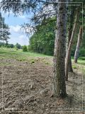 Działka rolna Antoniew, ul. Goździkowa. Zdjęcie 2