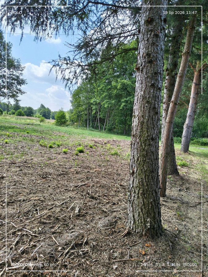 Działka rolna Antoniew, ul. Goździkowa. Zdjęcie 3