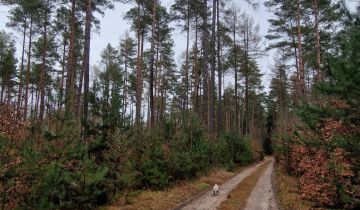 Działka budowlana Dziewiętlin