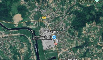 dom wolnostojący Wielogłowy