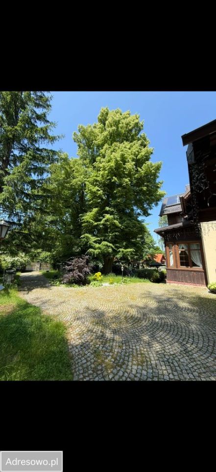 Nieruchomość komercyjna Karpacz. Zdjęcie 2