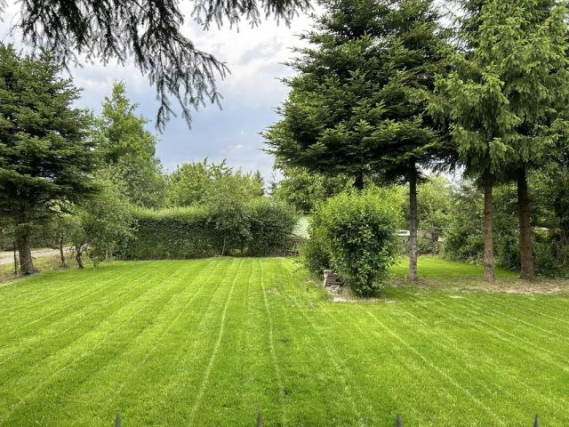 Działka rod Kielce Leśniówka. Zdjęcie 1