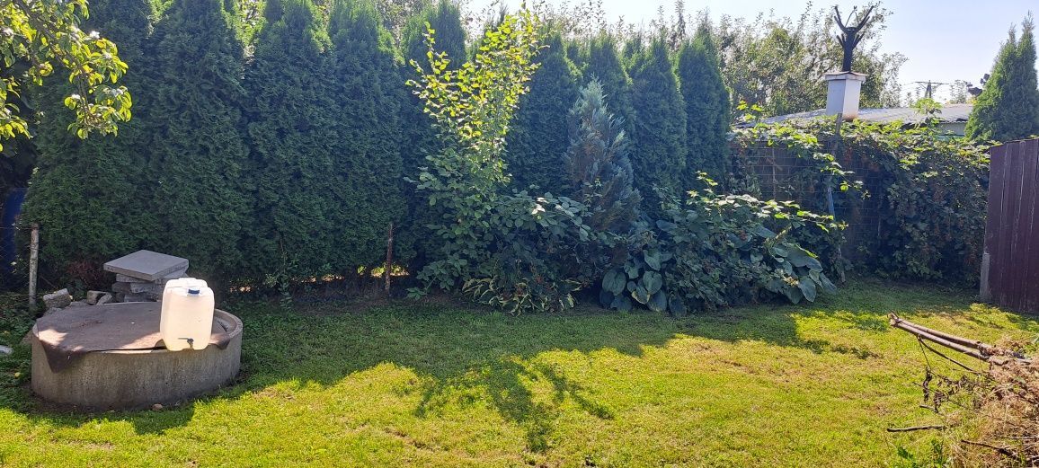 Działka rod Kępno, ul. Sportowa. Zdjęcie 6