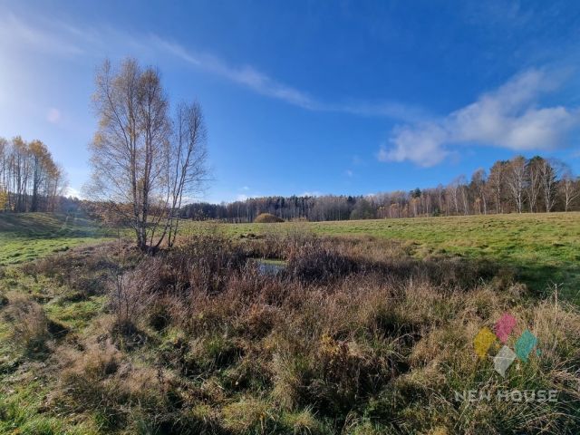 Działka rolna Stryjkowo. Zdjęcie 6