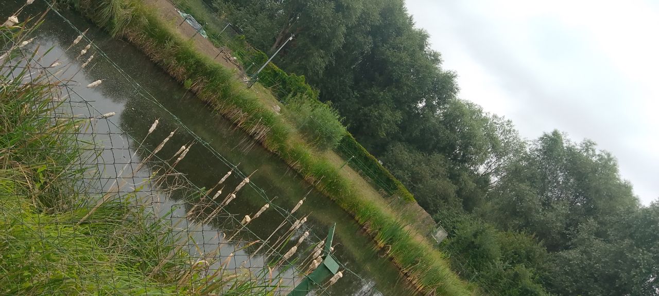 Działka rod Tczew Czyżykowo, ul. Ceglarska. Zdjęcie 5