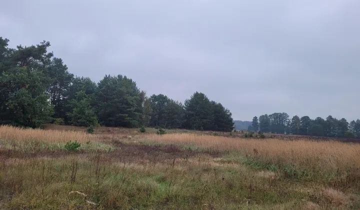 Działka budowlana Gnaty