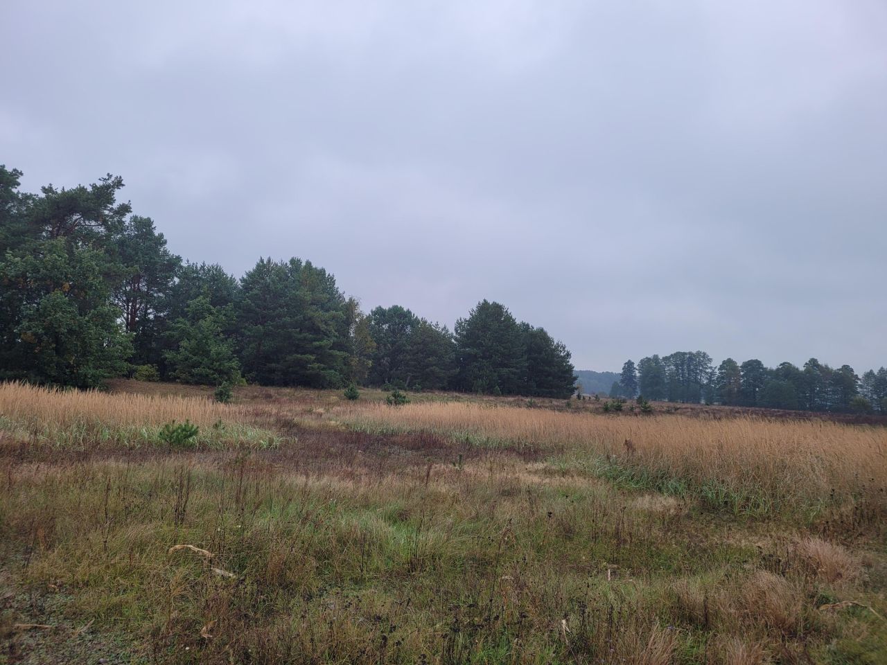 Działka budowlana Gnaty