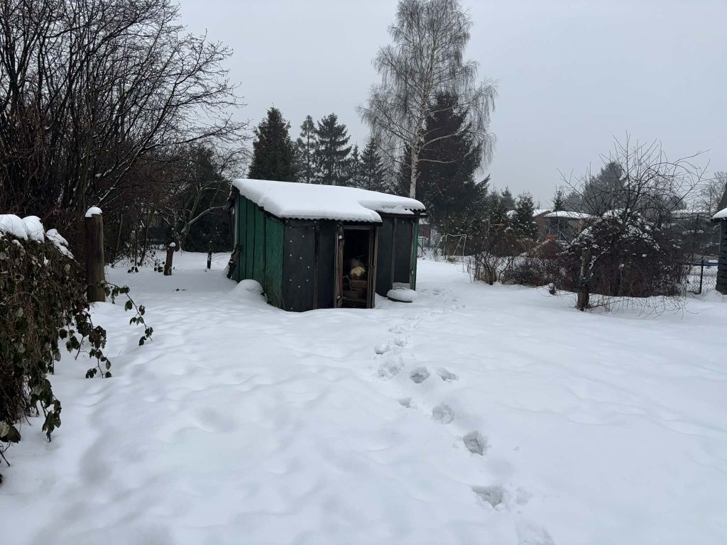 Działka rod Gdańsk Stogi. Zdjęcie 4