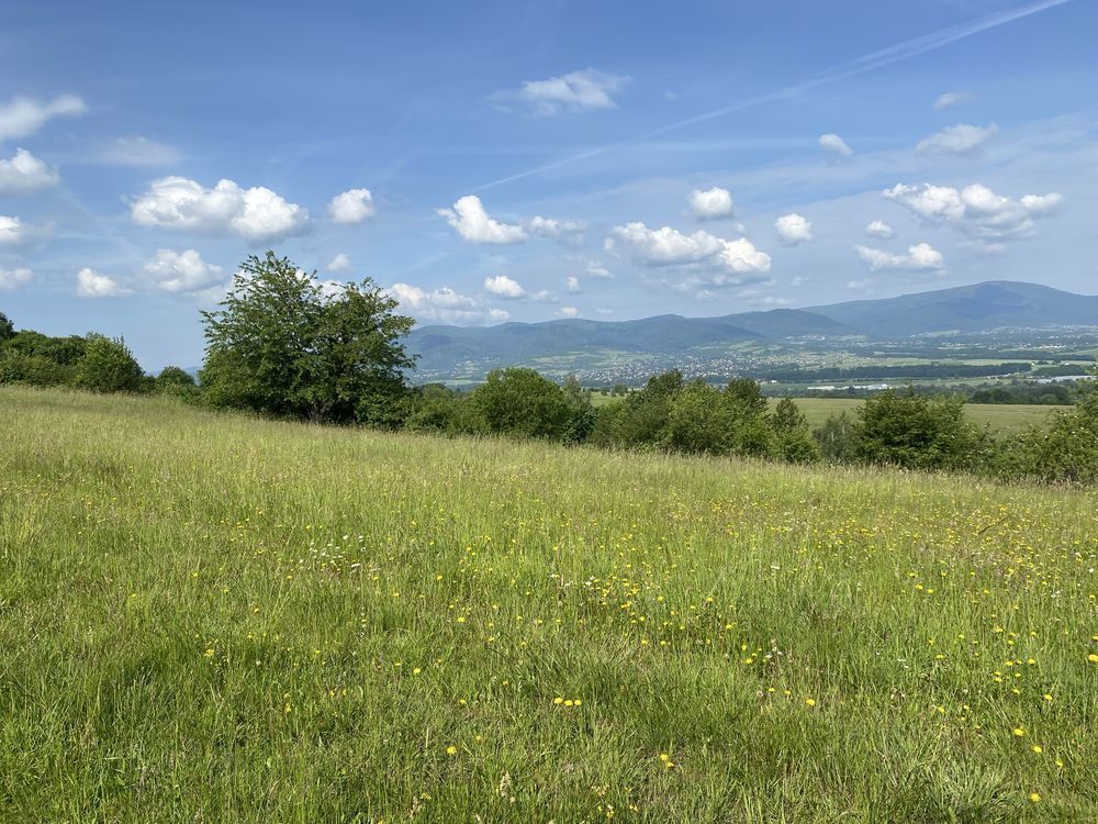 Działka inwestycyjna Trzebinia. Zdjęcie 5