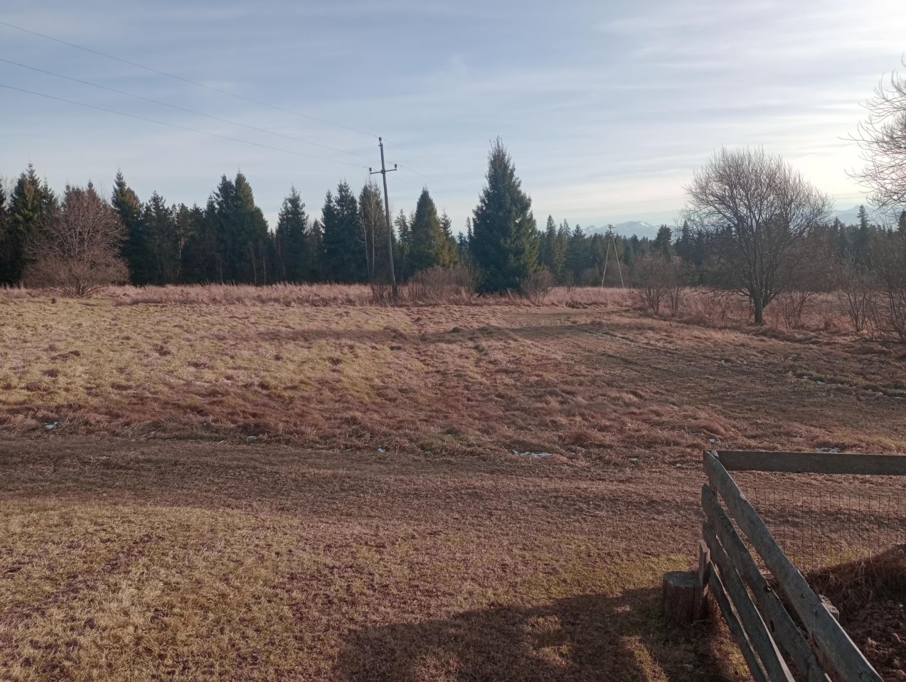 Działka rolna Zubrzyca Dolna. Zdjęcie 3