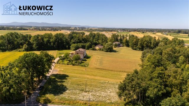 Działka budowlana Dankowice. Zdjęcie 17
