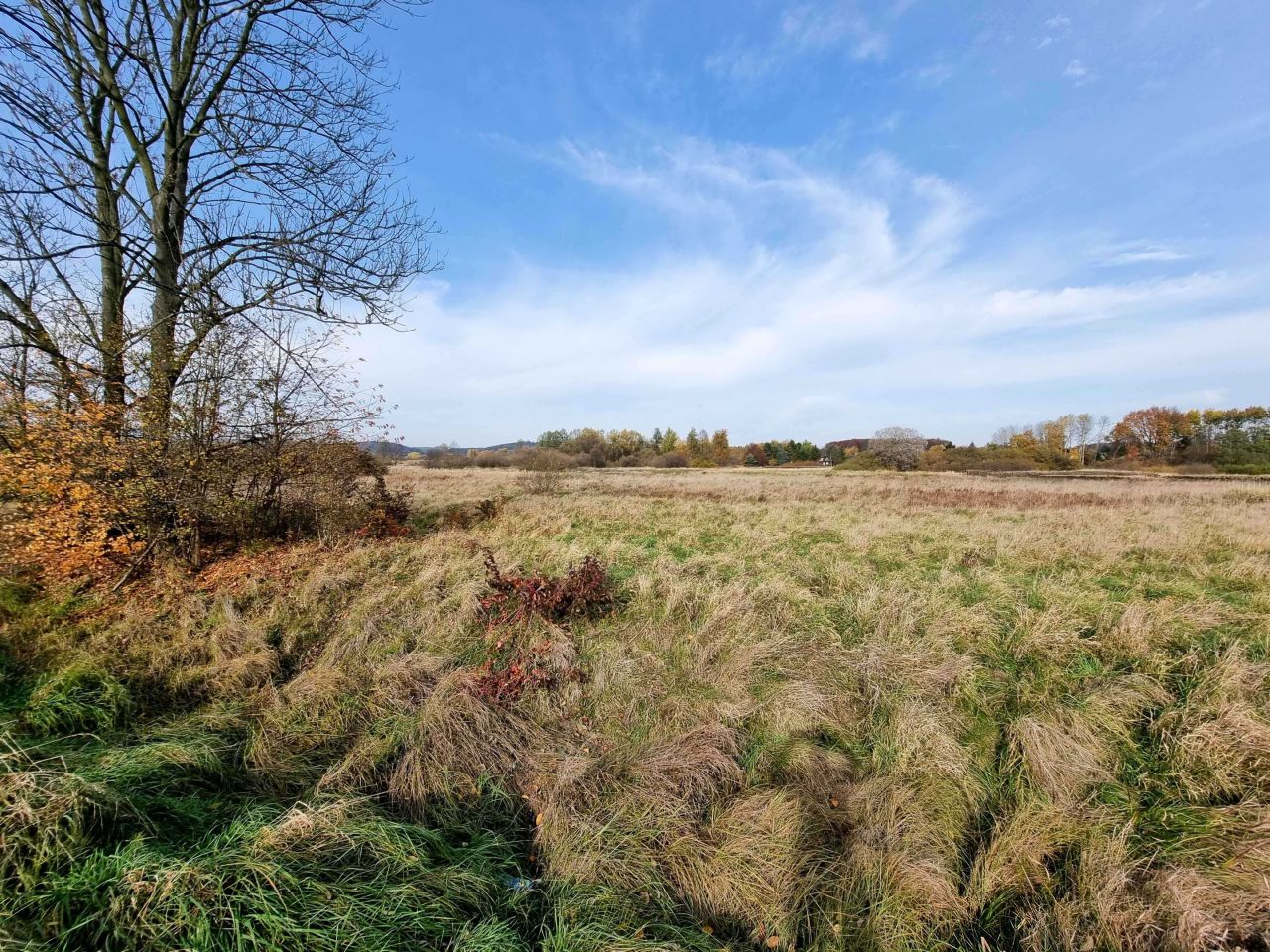 Działka inwestycyjna Morawica. Zdjęcie 7