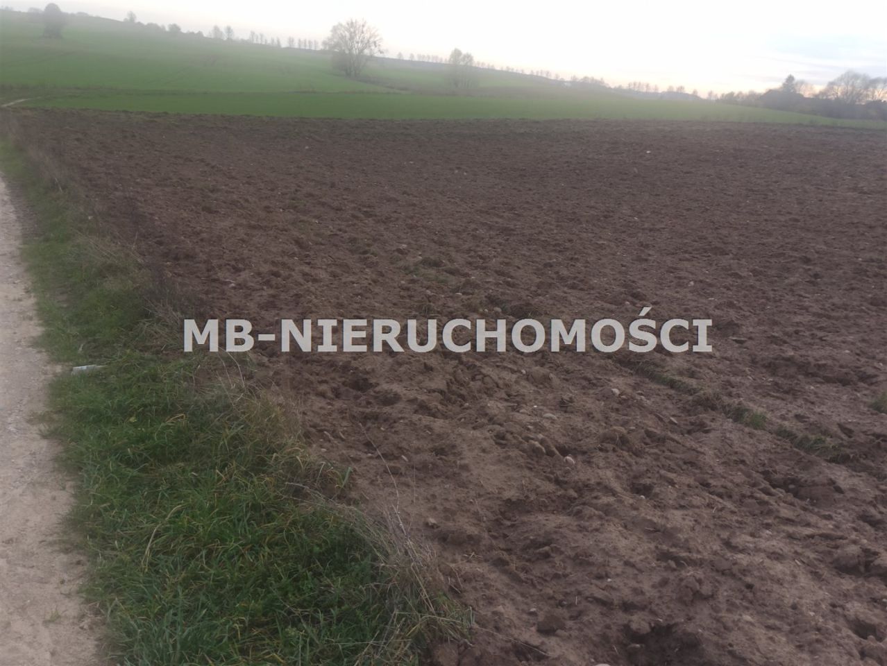 Działka rolna Jurgi. Zdjęcie 8