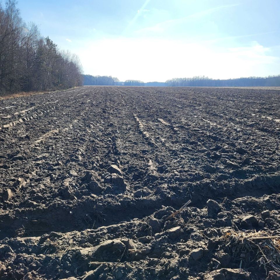 Działka rolna Kosów Lacki, ul. Młynarska. Zdjęcie 2