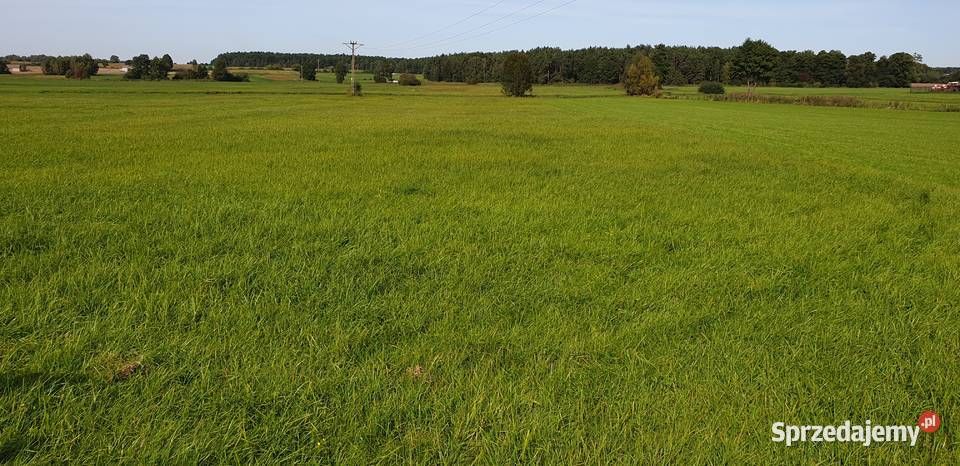 Działka rolna Huta Żelechowska. Zdjęcie 2