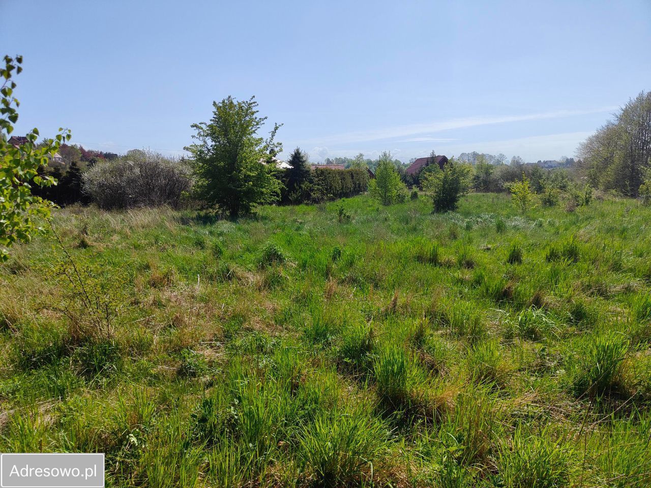 Działka budowlana Rusinowo. Zdjęcie 8