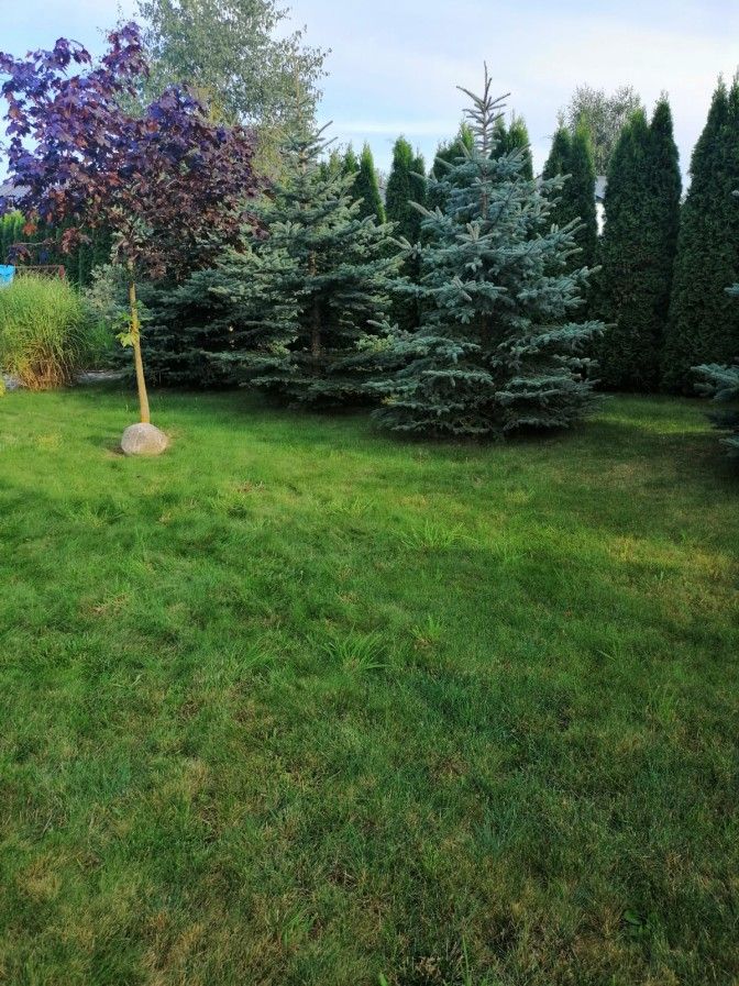 dom wolnostojący, 6 pokoi Rudka Kozłowiecka. Zdjęcie 6