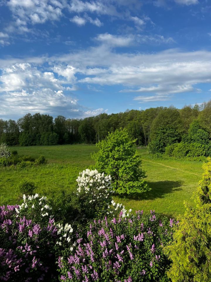 Działka rolna Podleńce. Zdjęcie 7