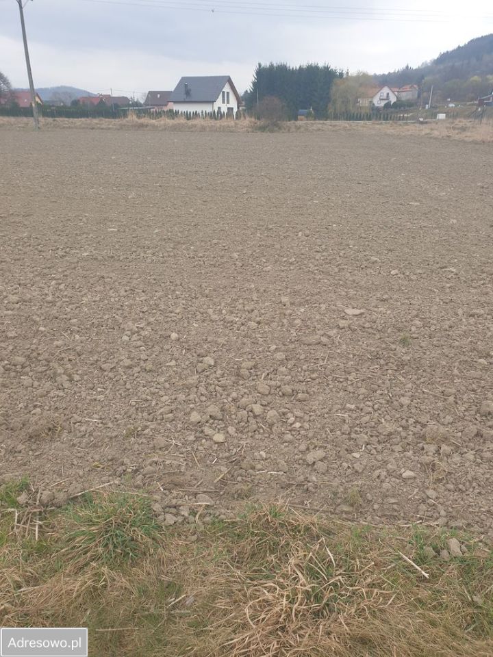 Działka budowlana Ołdrzychowice Kłodzkie, ul. Sportowa. Zdjęcie 5