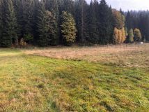 Działka budowlana Kamienica. Zdjęcie 3