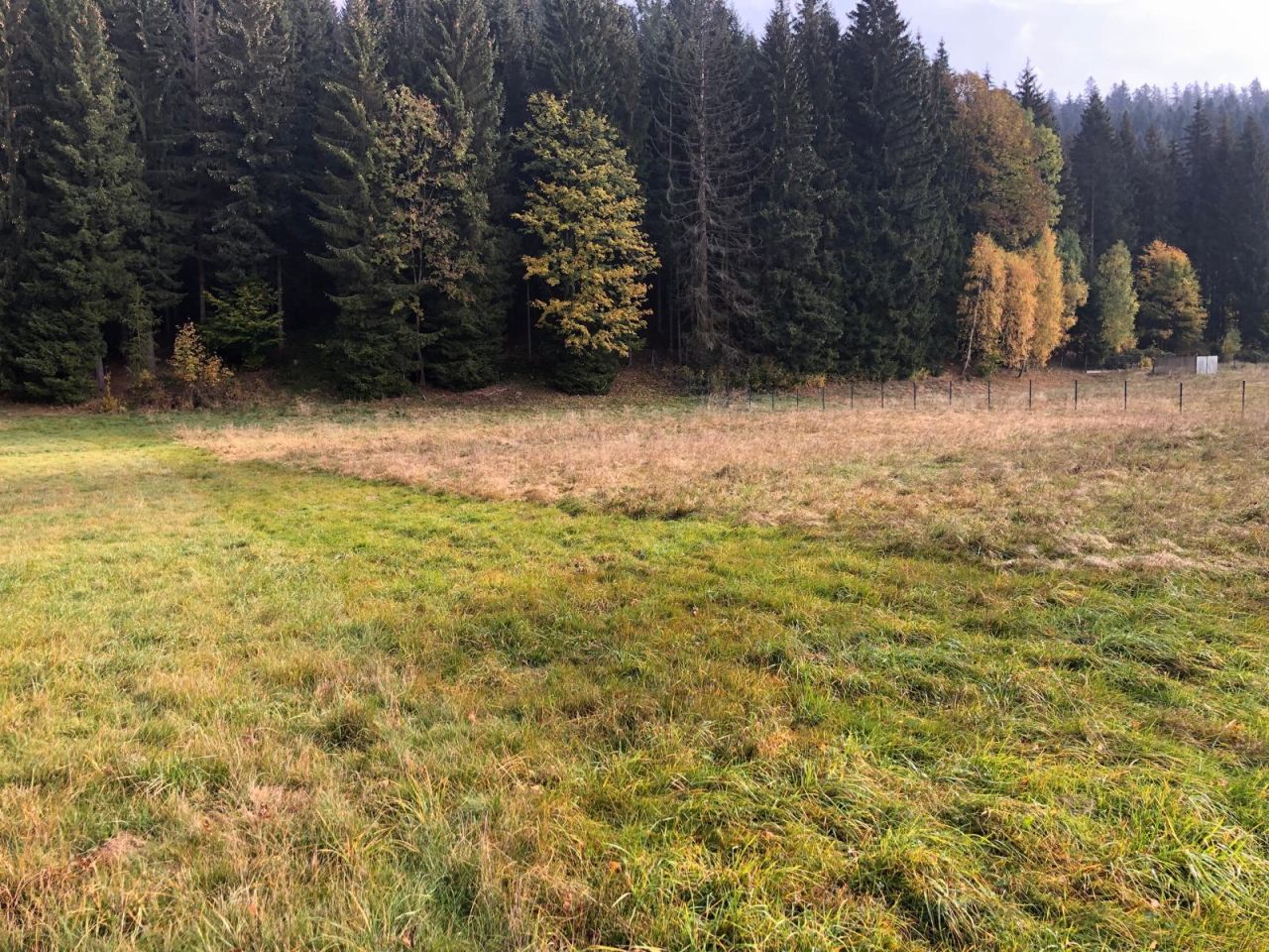 Działka budowlana Kamienica. Zdjęcie 4
