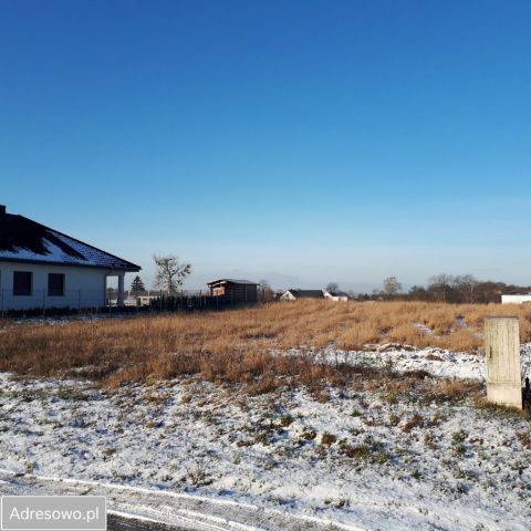 Działka budowlana Chludowo, ul. Leśna. Zdjęcie 1