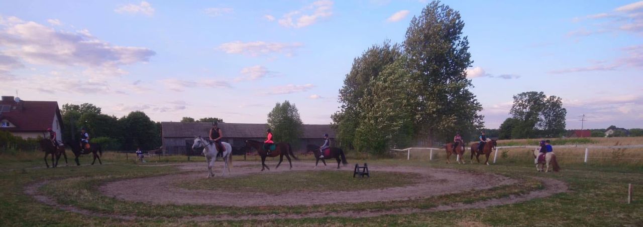 siedlisko, 6 pokoi Zambski Kościelne. Zdjęcie 8