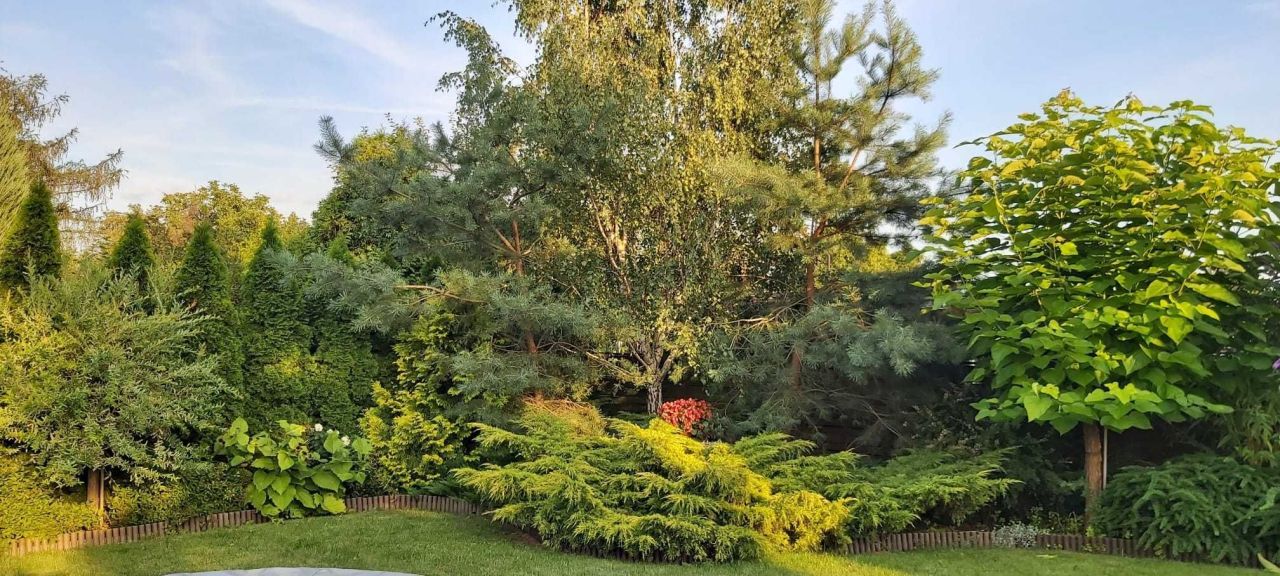 Działka rod Bydgoszcz Czyżkówko, ul. Siedlecka. Zdjęcie 4