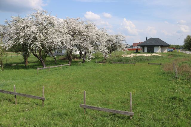 Działka budowlana Nowy Dzikowiec, ul. Wiosenna. Zdjęcie 1