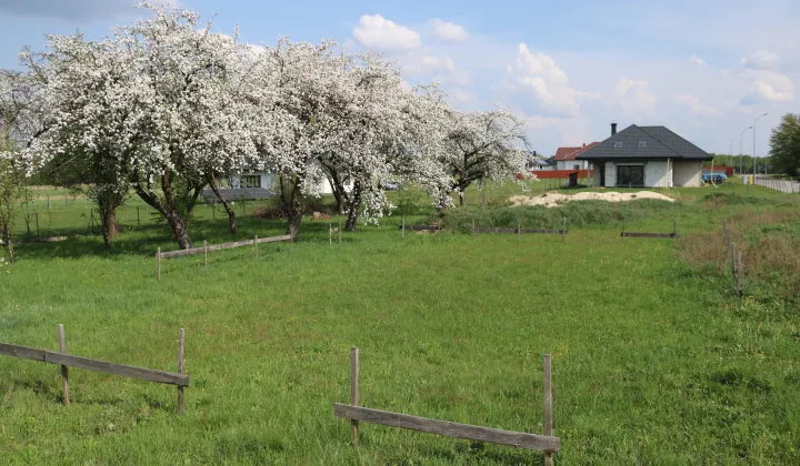 Działka budowlana Nowy Dzikowiec, ul. Wiosenna