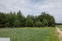 Działka Zofijówka. Zdjęcie 2