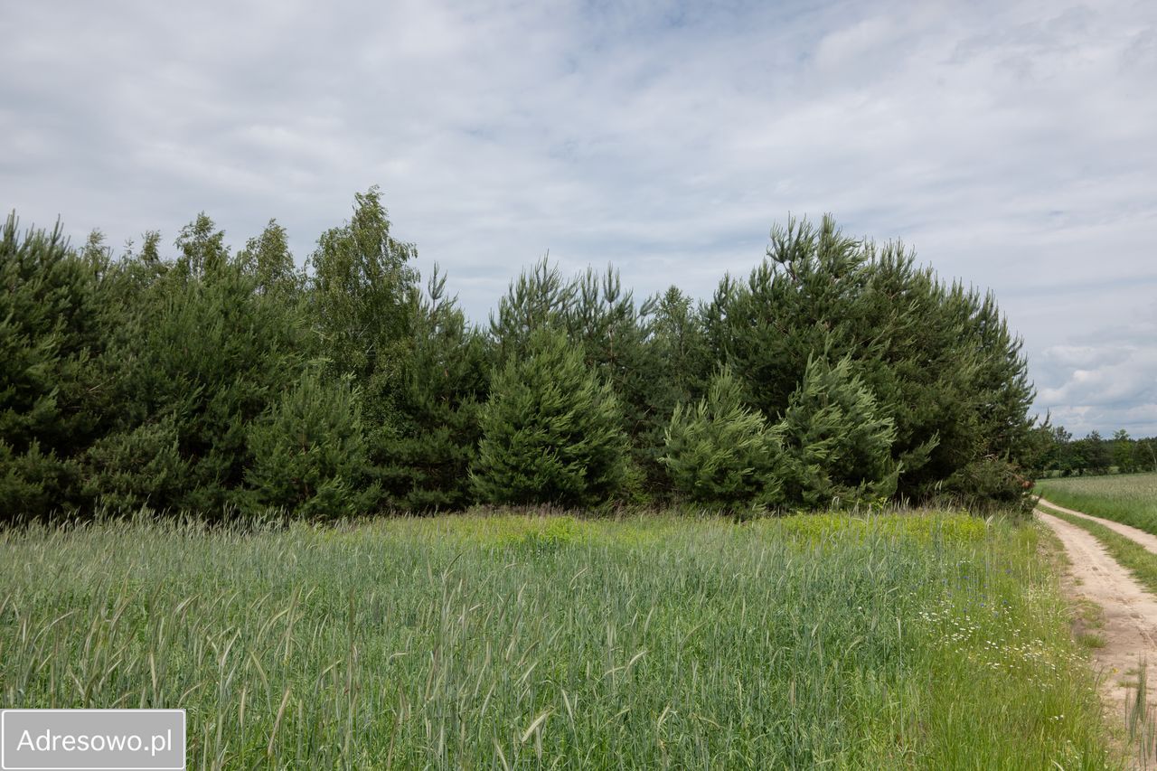 Działka Zofijówka. Zdjęcie 3