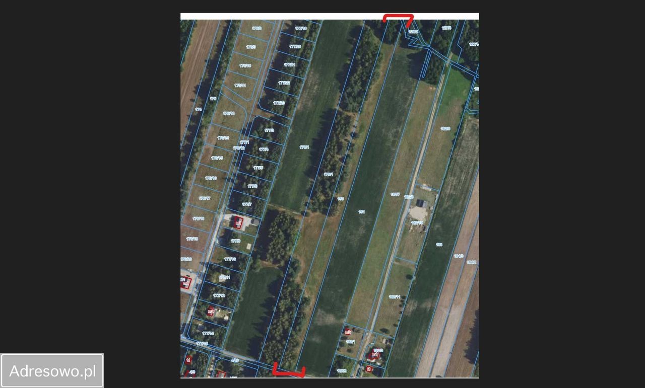 Działka rolno-budowlana Waleriany. Zdjęcie 3