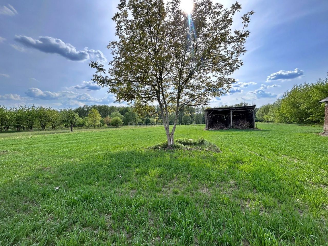 Działka siedliskowa Świeszewo. Zdjęcie 12