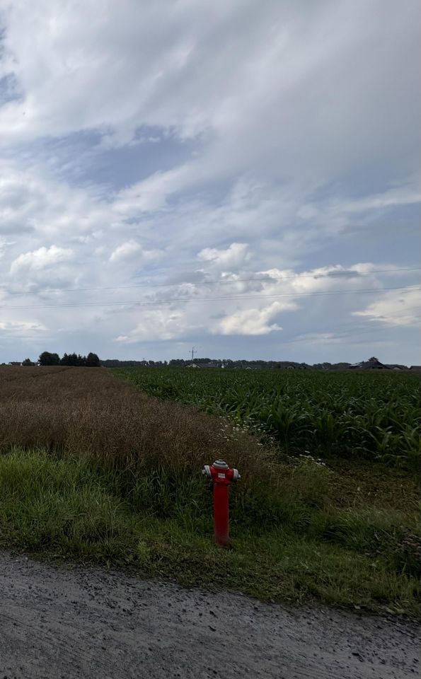 Działka rolna Góra, ul. Cmentarna. Zdjęcie 3