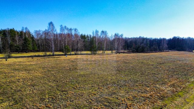 Działka rolna Stare Budy Radziejowskie. Zdjęcie 6