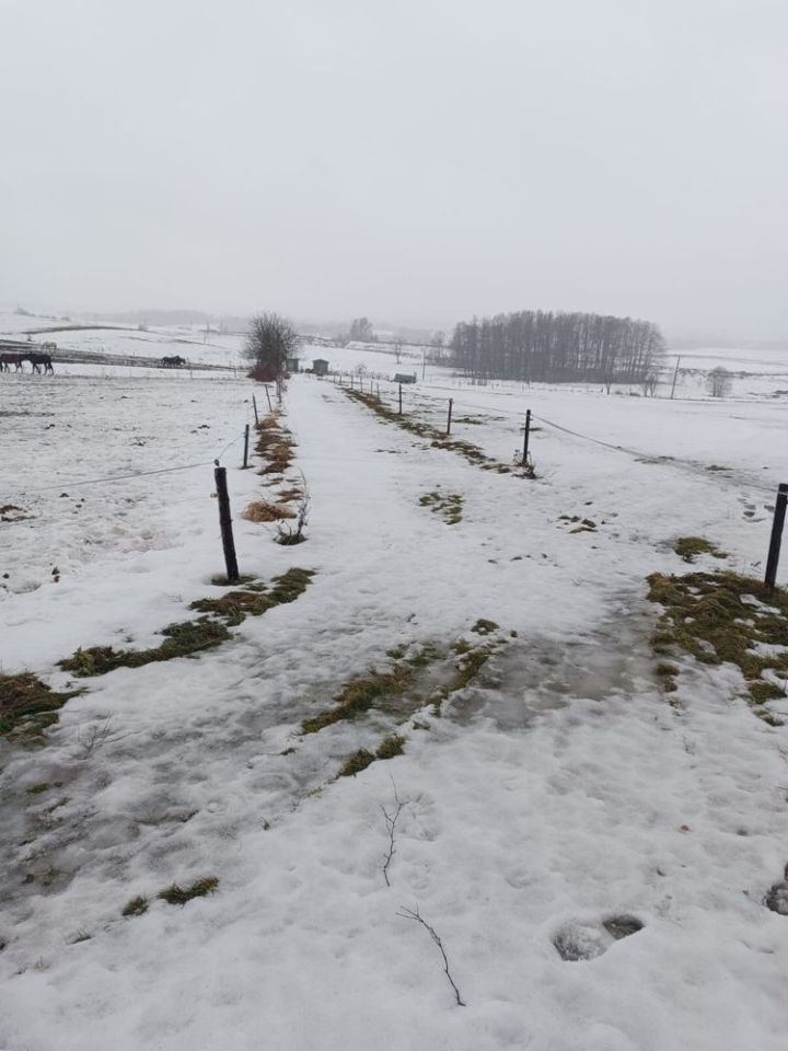 Działka budowlana Gnatowo kolonia. Zdjęcie 7