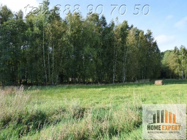 Działka Trójca. Zdjęcie 5