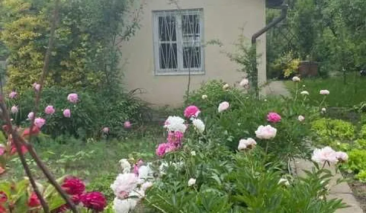 Działka rod Koszalin, ul. Gnieźnieńska