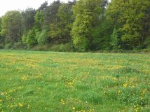 Działka budowlana Garbówek. Zdjęcie 4