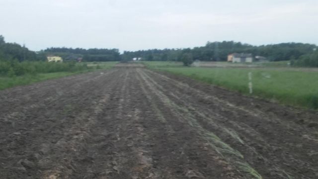 Działka rolno-budowlana Nowe Kozuby. Zdjęcie 1