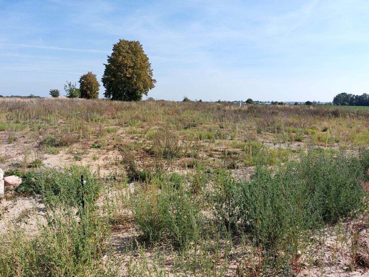 Działka budowlana Witkowo Pierwsze. Zdjęcie 5